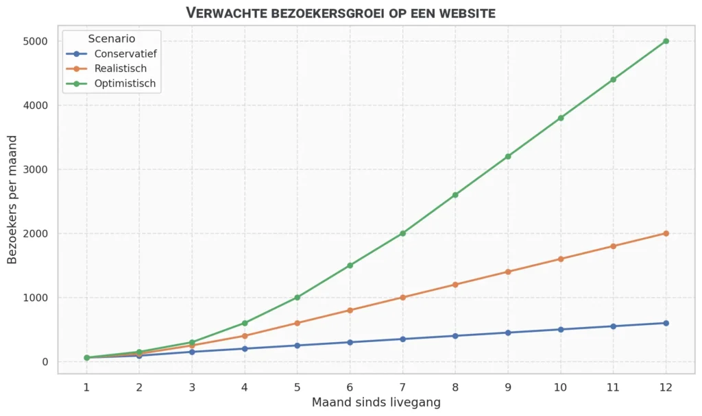 Bezoekersgroei website in het 1e jaar