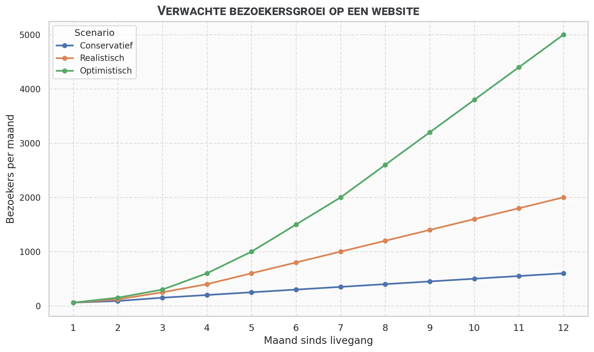 Bezoekersgroei website in het 1e jaar